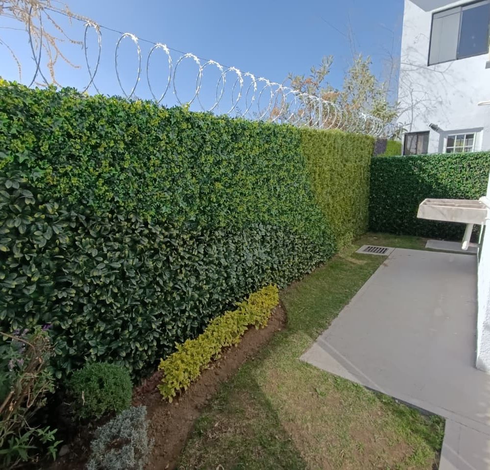 casaenventaenpachuca10