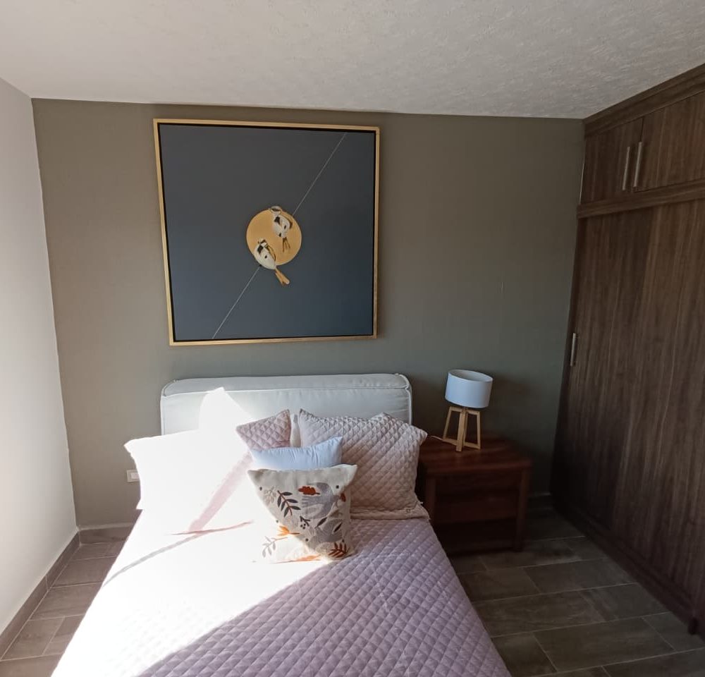 casaenventaenpachuca12