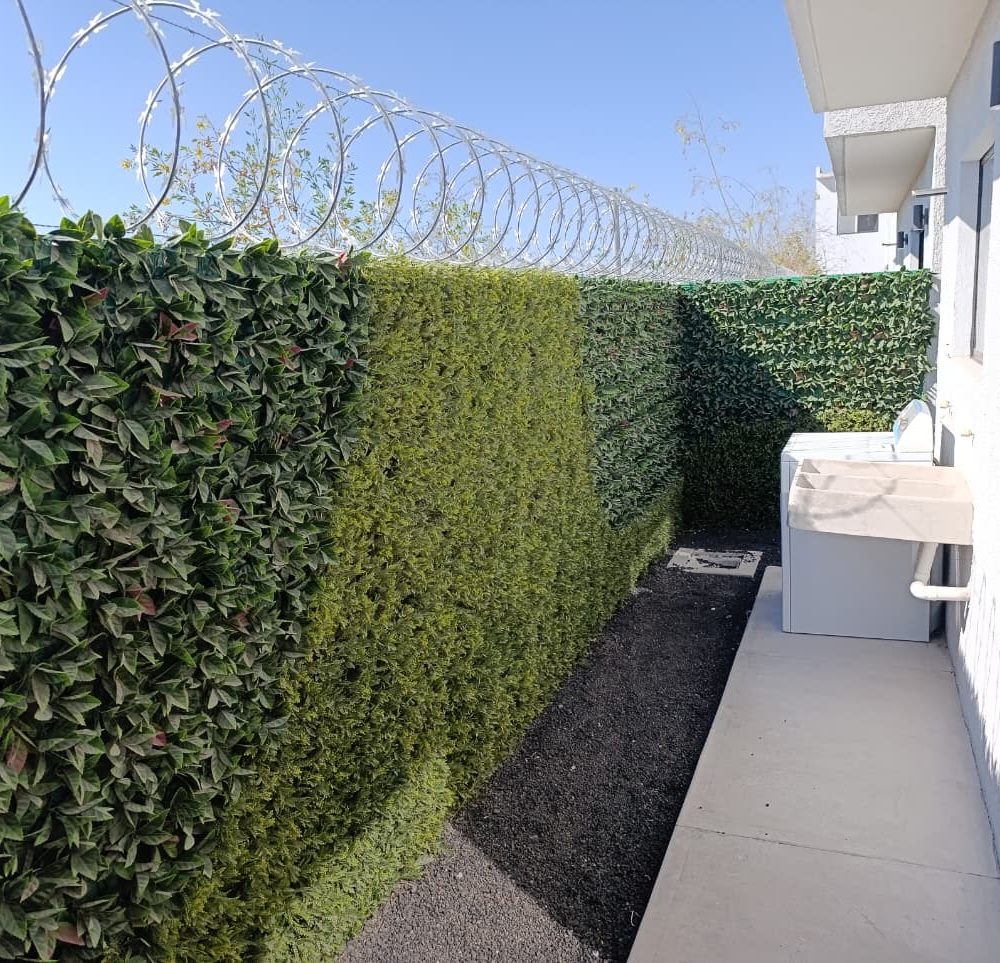 casaenventaenpachuca9